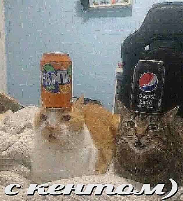 7 POR ter и 1 i 1 tle 4. 4