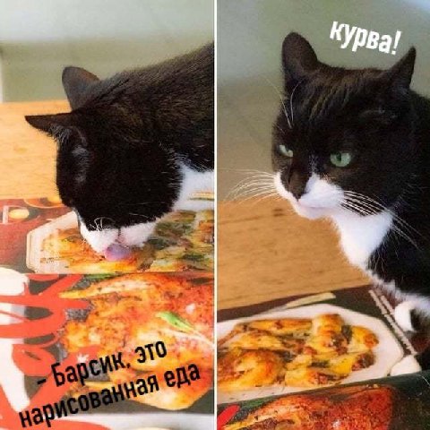 КУрва!
