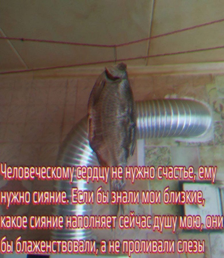 вердцу не нужно счастье, ему Нужно сияние. бы знали мои близкие, какое сияние наполняет сейчас душу OHI блаженствовали, а не проливали слезы