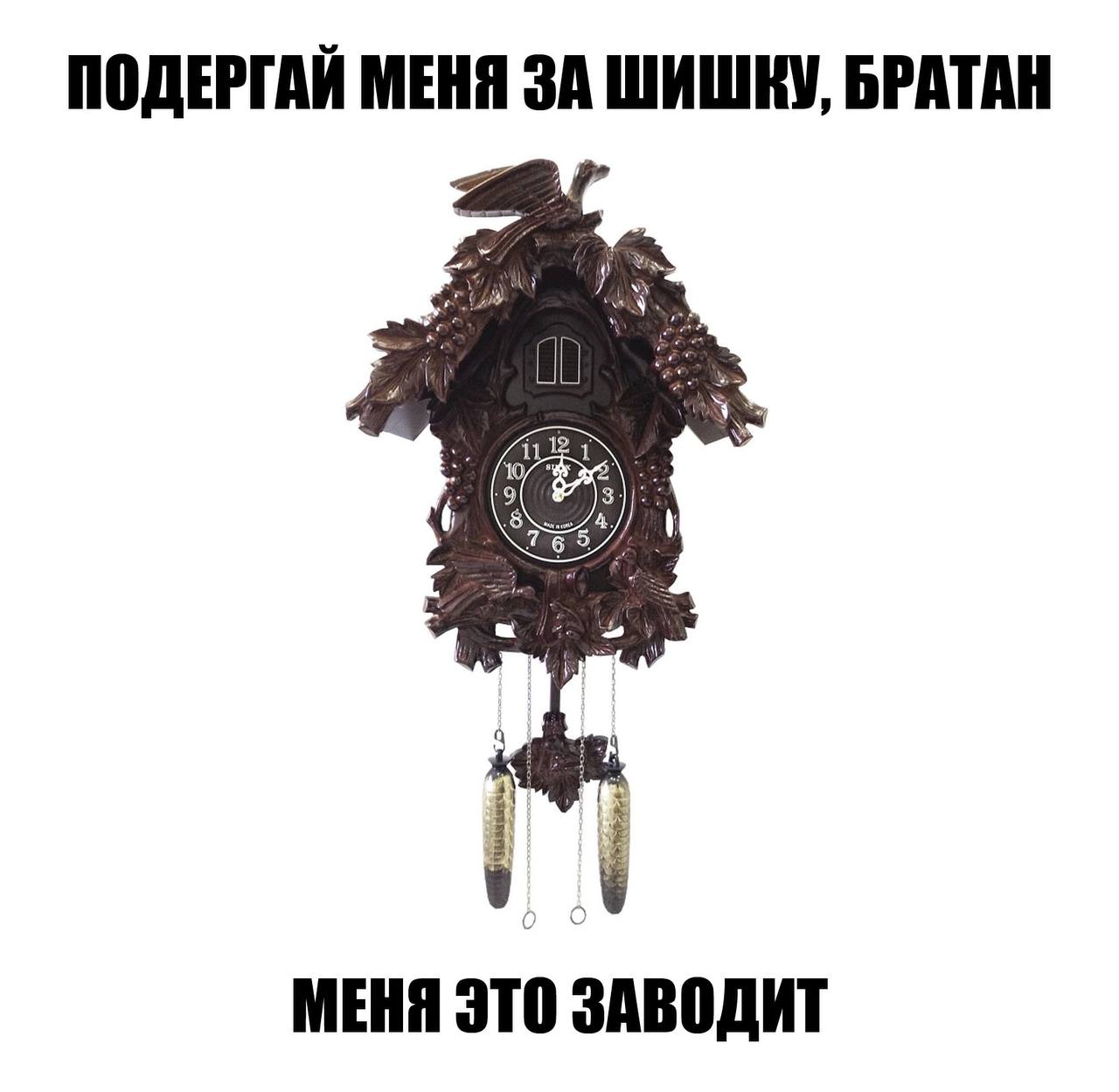 ПОДЕРГАЙ МЕНЯ ЗА ШИШКУ, БРАТАН i 10 (1 3} MEHA 310