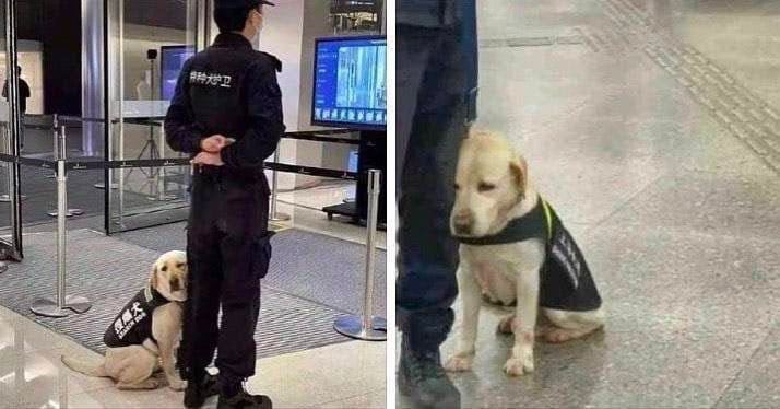 опять на работу...
