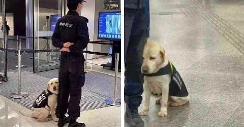 опять на работу...