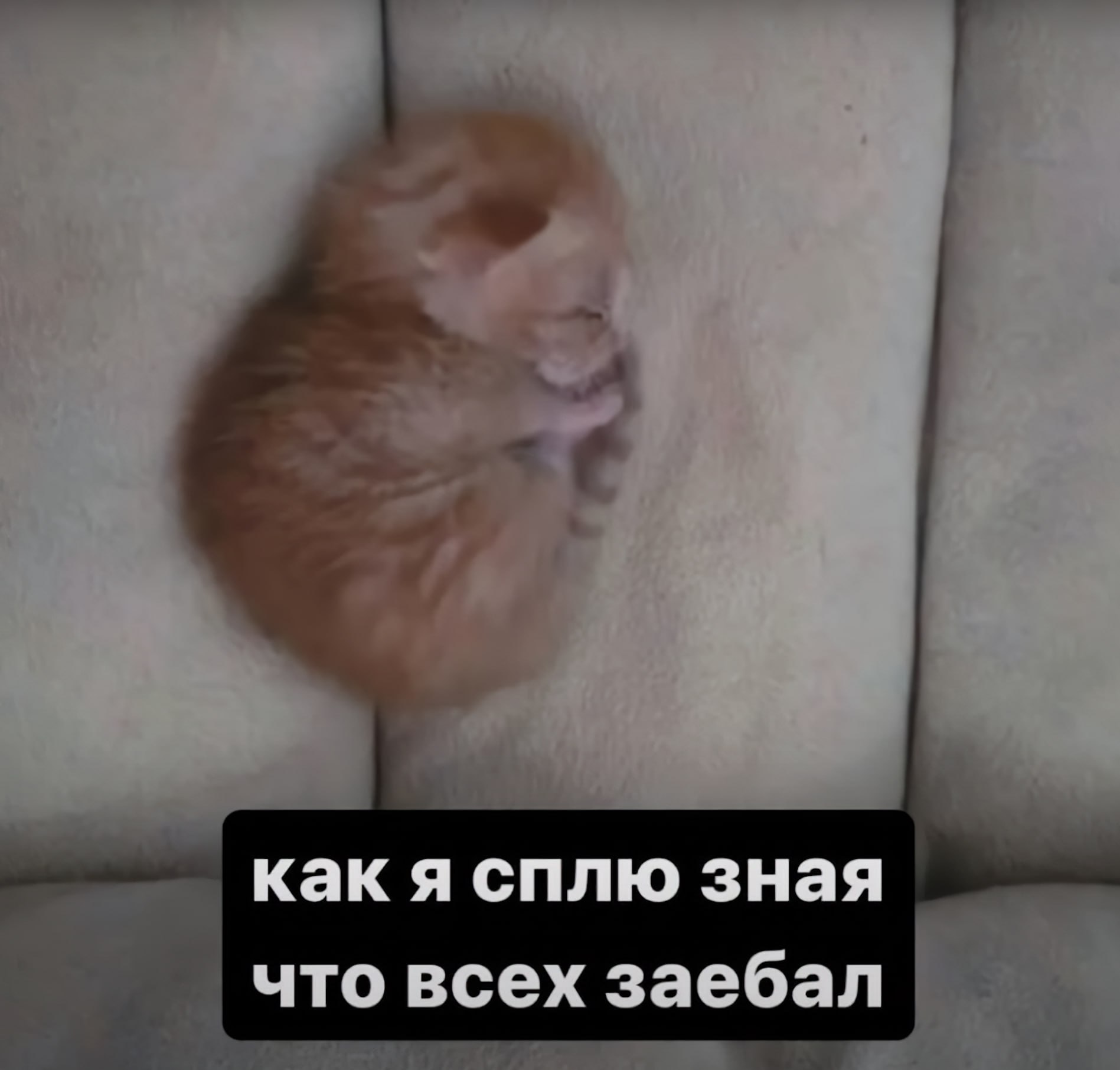 как я сплю зная что всех заебал