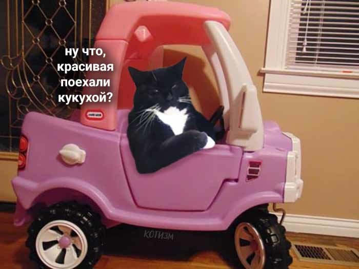 ну что, красивая поехали кукухой?