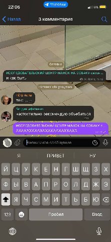 22:06 -4 TELEGRAM 3 комментария Сегодня ЦЕНТР МАНОК НА СОБАКУ сильн... и как быть Начало обсуждения лапа так: Богаан настоятельно рекомендую объебаться ИССЛЕДОВАТЕЛЬСКИЙ ЦЕНТР MAHOK НА СОБАКУ с... АХА