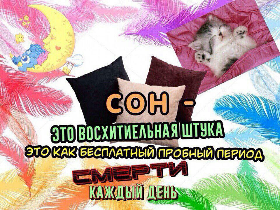 a, Yon. 2 ANA а LLL ИЕЛЬНАЯ С Это) КАКБЕСПЛАТНЫЙПРОБН VOSS. IN