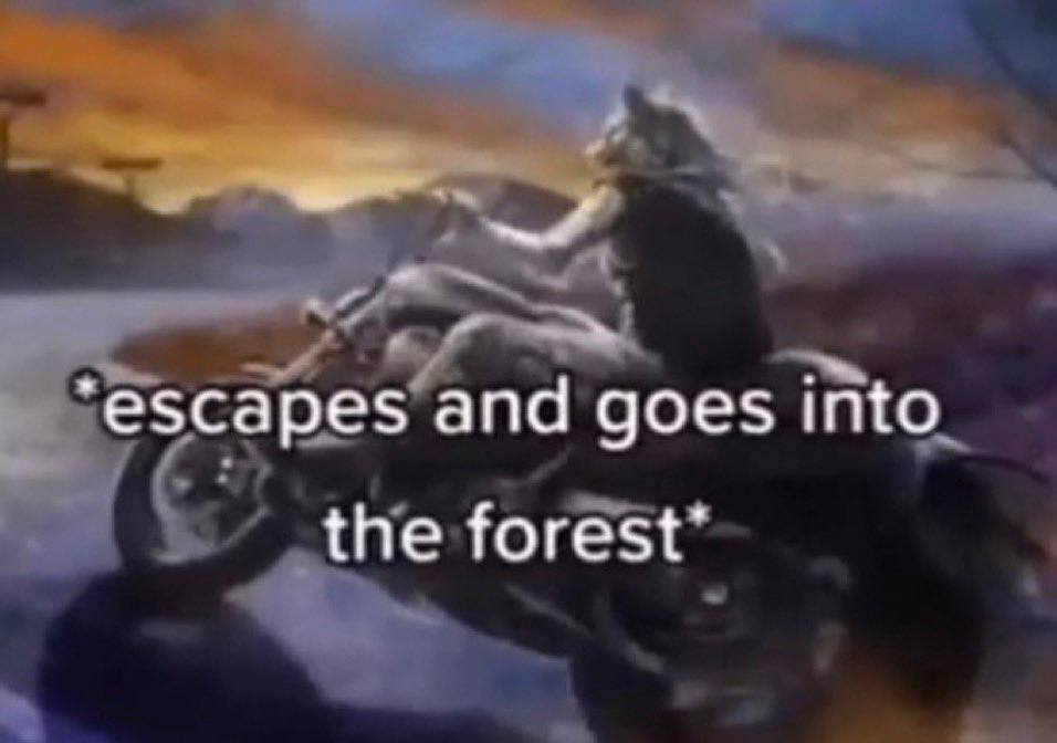 escapes and goes into the forest’
