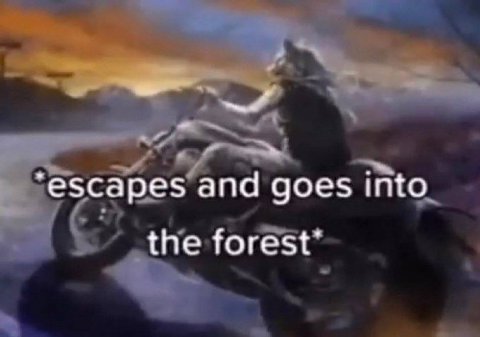 escapes and goes into the forest’