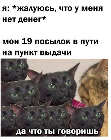я: *жалуюсь, что у меня нет денег* мои 19 посылок в пути на пункт выдачи да что ты говоришь