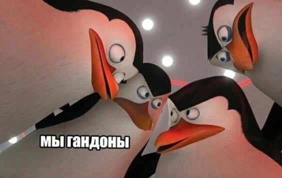 мы гандоны
