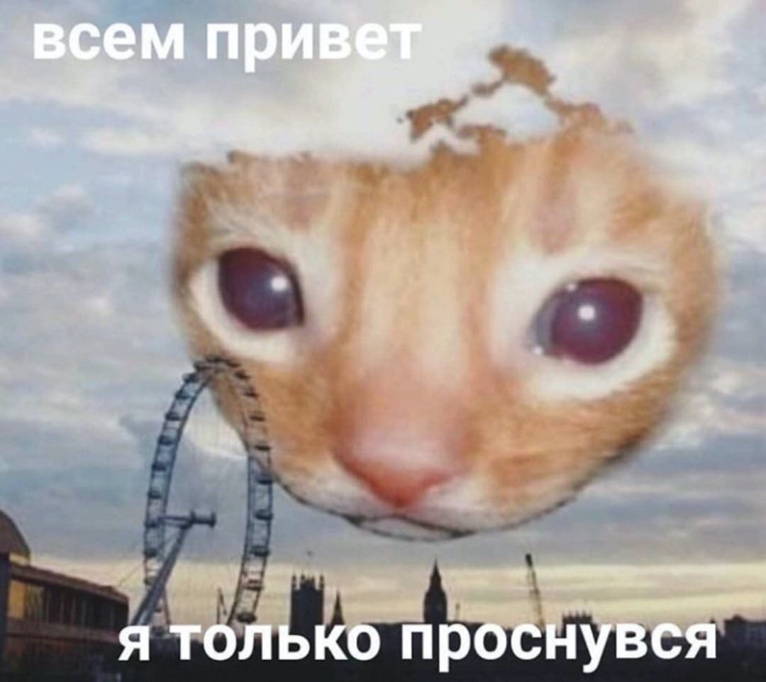 всем прив я только проснувся