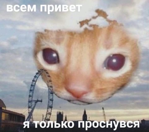 всем прив я только проснувся