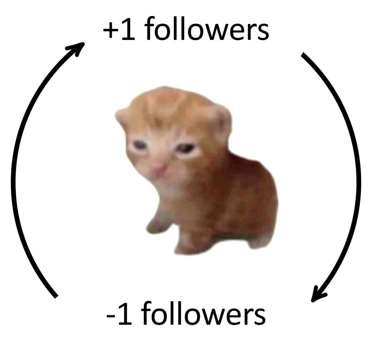 +1 followers -1 followers