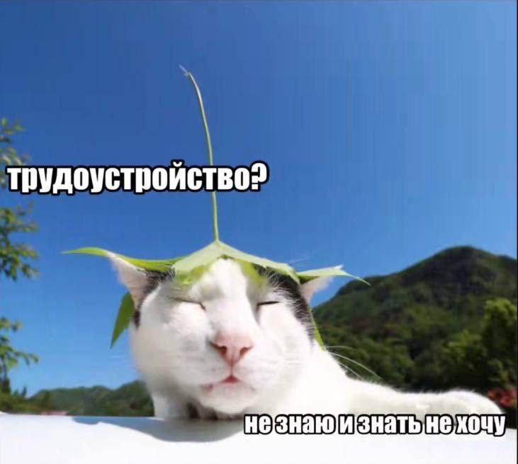 трудоустройство? незнаюизнать нехочу