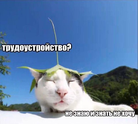 трудоустройство? незнаюизнать нехочу