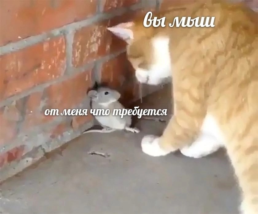 Got 14. A, от меня что требуется