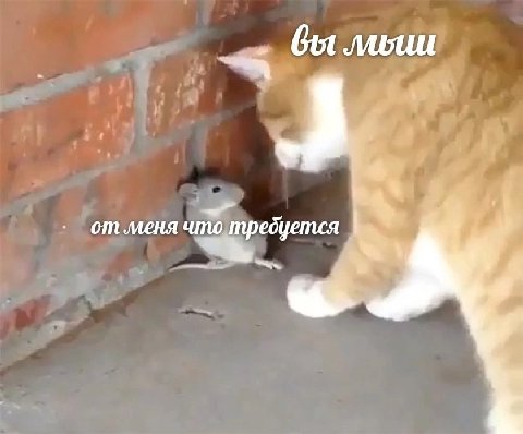 Got 14. A, от меня что требуется