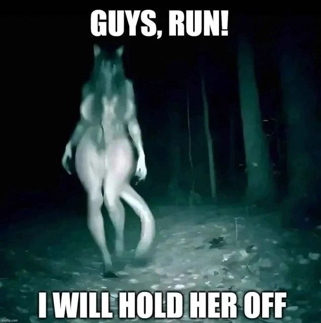 GUYS, RUN! WILUHOLD HER OFF