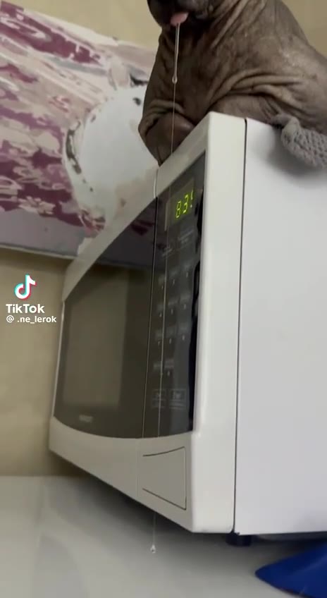 TikTok .ne_lerok
