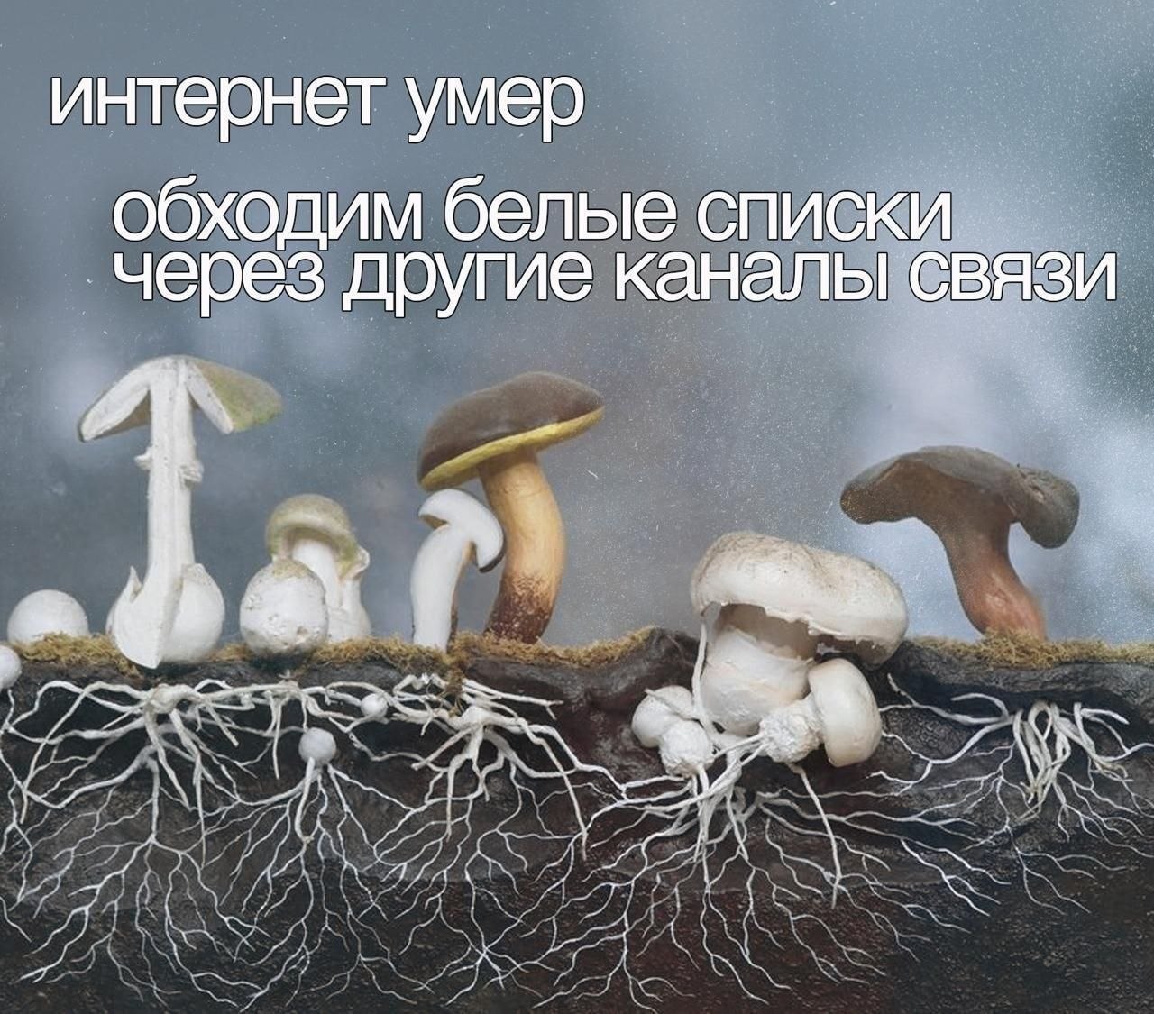 интернет умер обходим белые списки через другие каналы связи