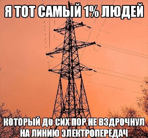 САМЫЙ 1% ЛЮДЕЙ КОТОРЫЙ ДО ВЗДРОЧНУЛ НА ЛИНИЮ ЭЛЕКТРОПЕРЕДАЧ