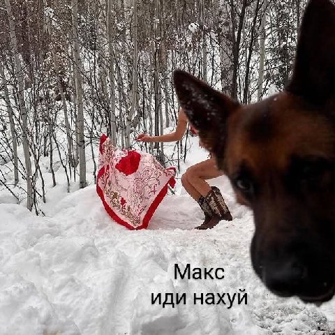 7 и Макс ИДИ нахуй