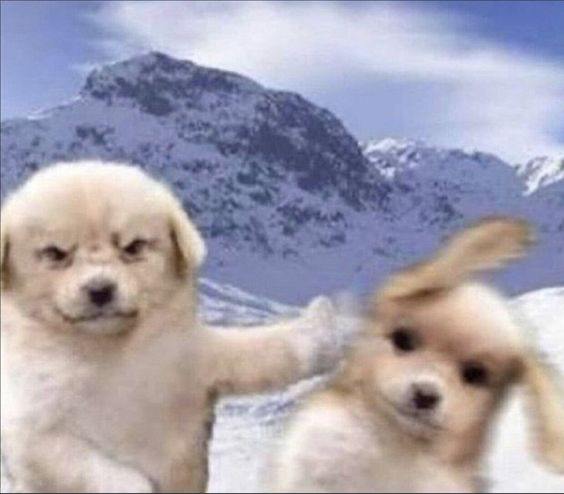 а