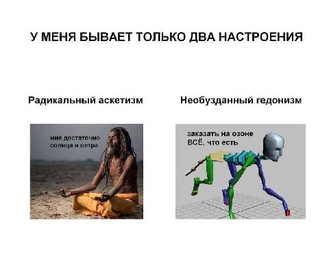 У МЕНЯ БЫВАЕТ ТОЛЬКО ДВА НАСТРОЕНИЯ Радикальный аскетизм Необузданный гедонизм заказать на озоне ВСЕ, что есть