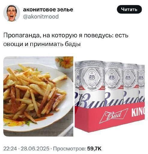 аконитовое зелье @akonitmood Пропаганда, на которую я поведусь: есть овощи и принимать бады А ‘A 22:24 28.06.2025 Просмотров: