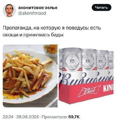 аконитовое зелье @akonitmood Пропаганда, на которую я поведусь: есть овощи и принимать бады А ‘A 22:24 28.06.2025 Просмотров: