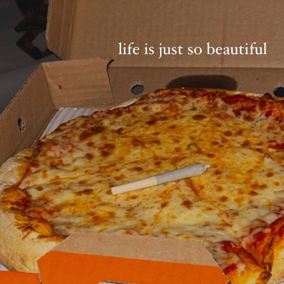 life is just so beautiful