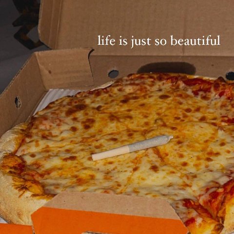 life is just so beautiful