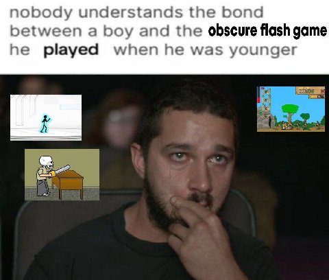nobody understands the bond between a boy and the obscure flash game he played when he was younger