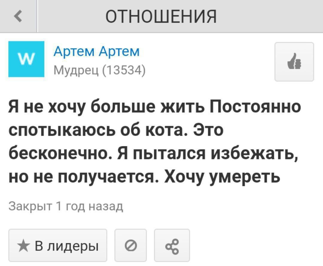 ОТНОШЕНИЯ Артем Артем Мудрец (13534) Я не хочу больше жить Постоянно спотыкаюсь об кота. Это бесконечно. Я пытался избежать, но не получается. Хочу умереть Закрыт 1 год назад Ж Влидеры