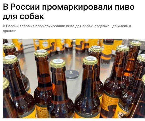 Для любителей грибного гозе