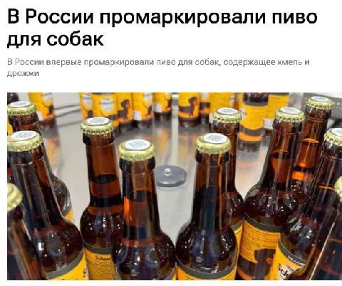 Для любителей грибного гозе
