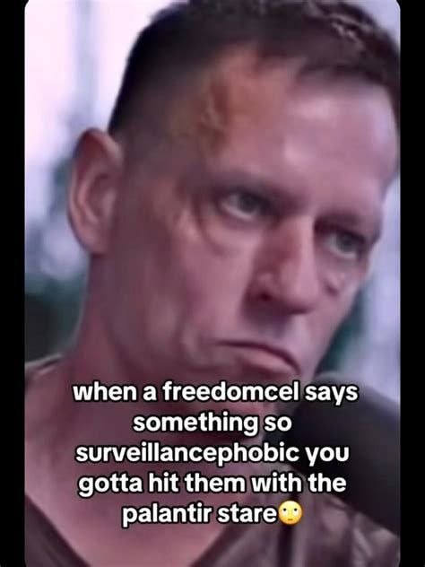 when a freedomcel says something so surveillancephobic you gotta hit them with the palantir stare®