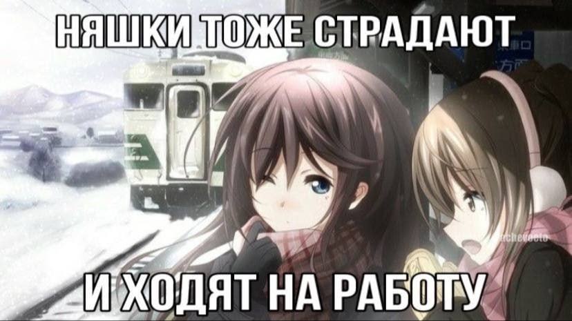 СТРАДАЮТ 7 НА