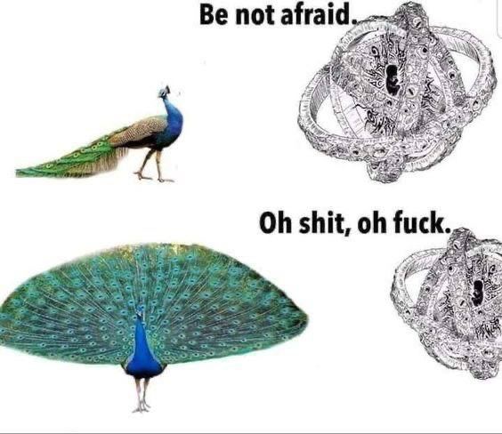 Be not afraid shit,