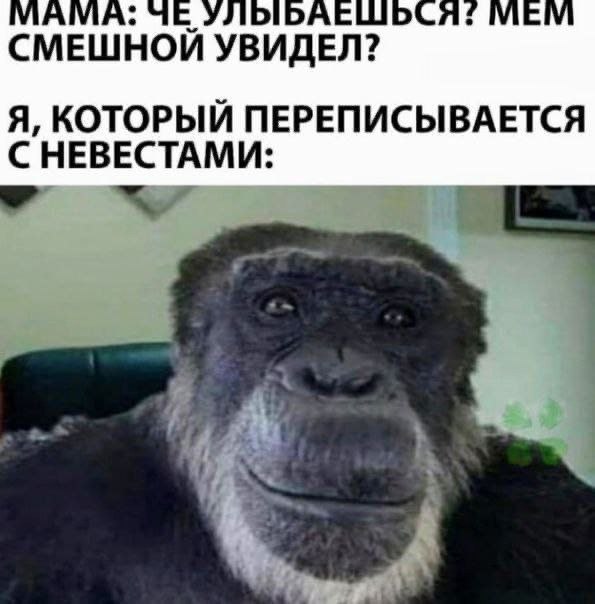 МАМА: ЧЕ УЛЫБАЕШЬСЯ? NEN СМЕШНОЙ УВИДЕЛ? Я, КОТОРЫЙ ПЕРЕПИСЫВАЕТСЯ СНЕВЕСТАМИ: