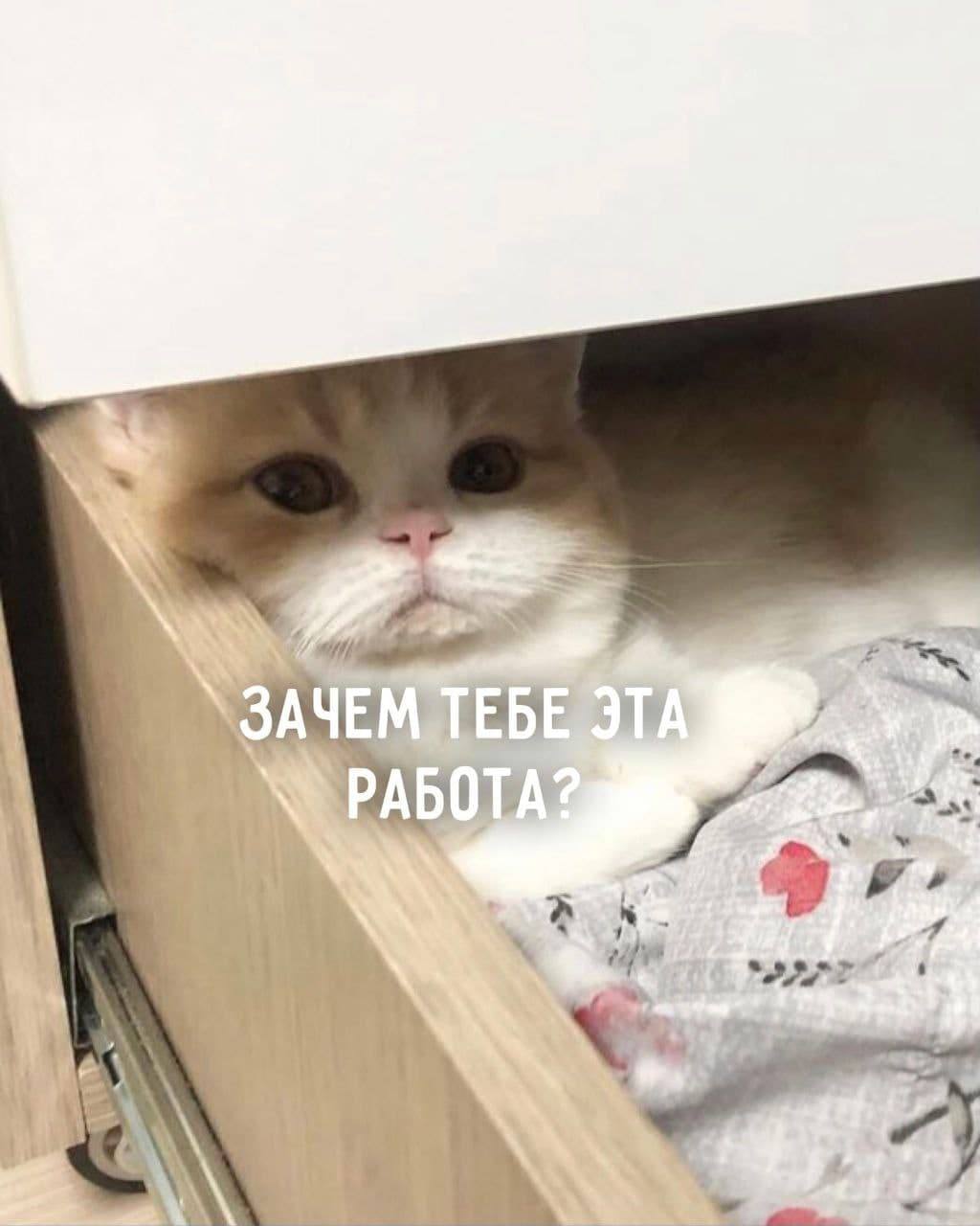 ЗАЧЕ PAE 2 if