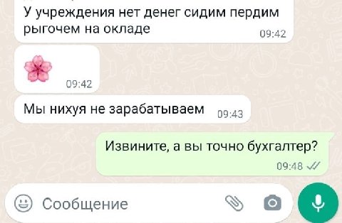 у учреждения нет денег сидим пердим рыгочем на окладе 09:42 09:42 Мы нихуя не зарабатываем 99.43 Извините, а вы точно бухгалтер? 09:48 Сообщение о