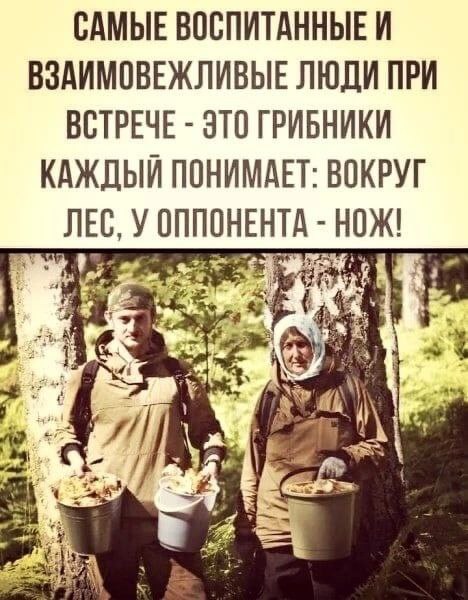САМЫЕ ВОСПИТАННЫЕ И ВЗАИМОВЕЖЛИВЫЕ ЛЮДИ ПРИ ВСТРЕЧЕ ЭТО ГРИБНИКИ КАЖДЫЙ ПОНИМАЕТ: ВОКРУГ ЛЕС, У ОППОНЕНТА НОЖ! a