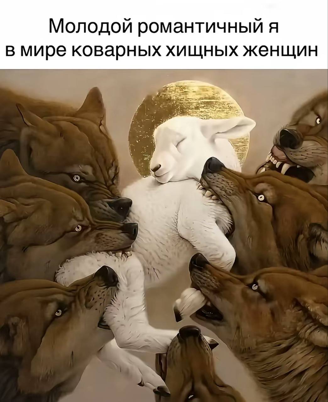 Молодой романтичный я в мире коварных хищных женщин