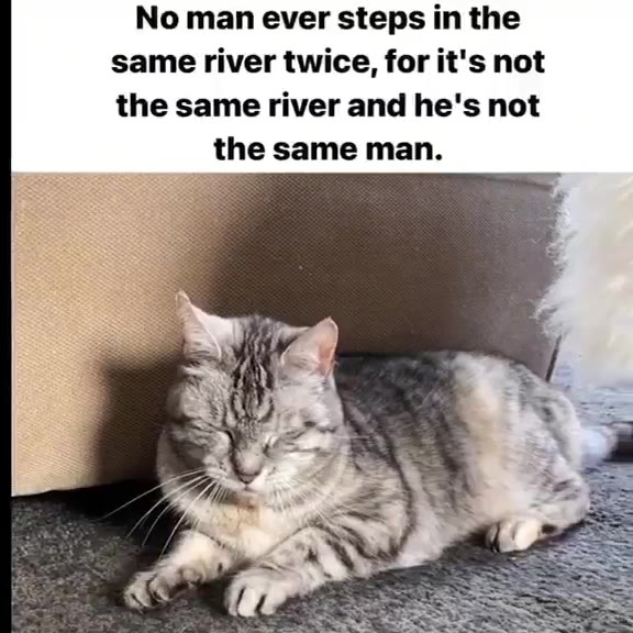 same river twice, for it's not