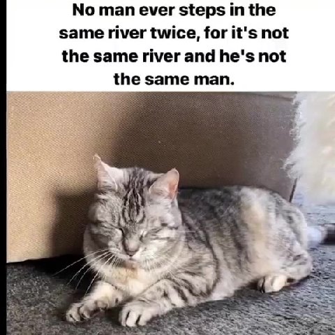 same river twice, for it's not