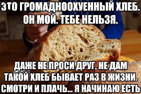ГРОМАДНООКУЕННЫЙ КЛЕБ. MOH. TEBE НЕЛЬЗЯ. я рых Vax, 1% НЕ ПРОСИ 'ДРУГ, HE ТАКОЙ ХЛЕБ БЫВАЕТ РАЗ В ЖИЗНИ. СМОТРИ И ПЛАЧЬ... Я НАЧИНАЮ ЕСТЬ