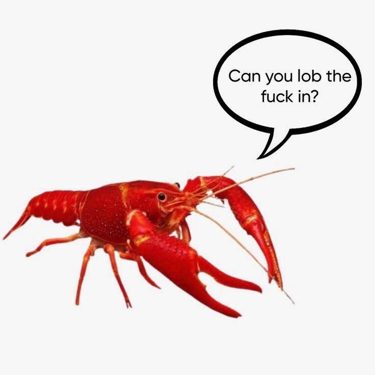 Can you lob the fuck in?