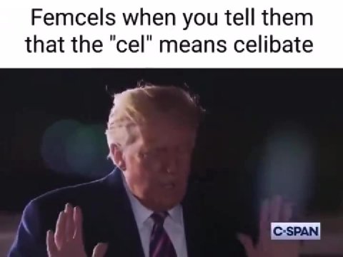 that the "cel" means celibate
