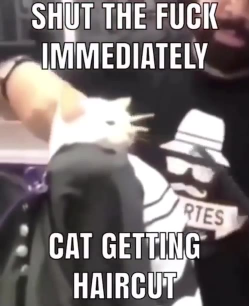 STRIATE SUCKS